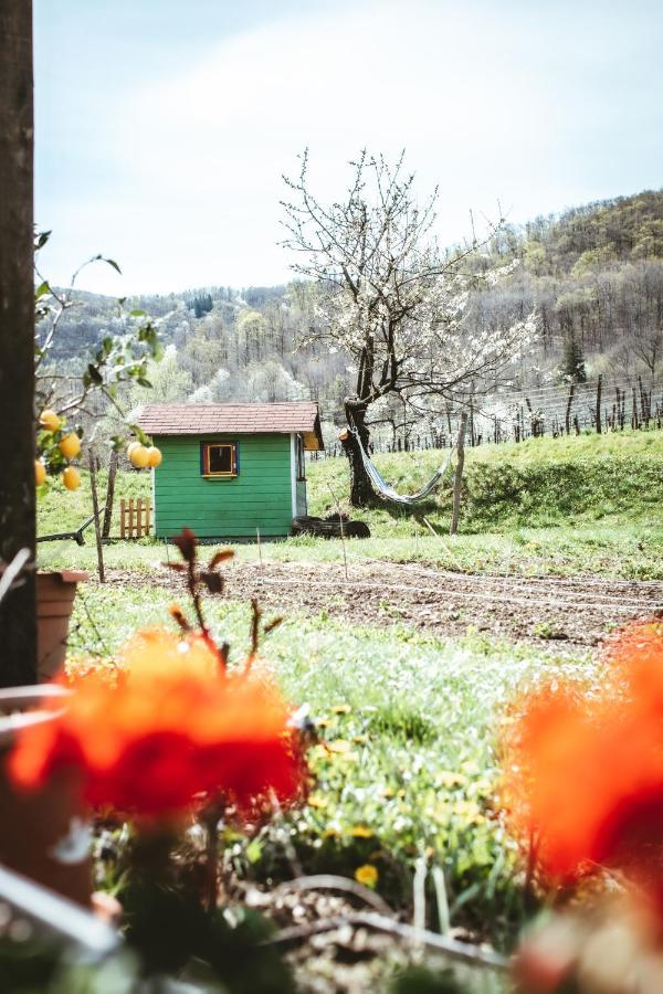 Apartma Moser Podnanos Dış mekan fotoğraf