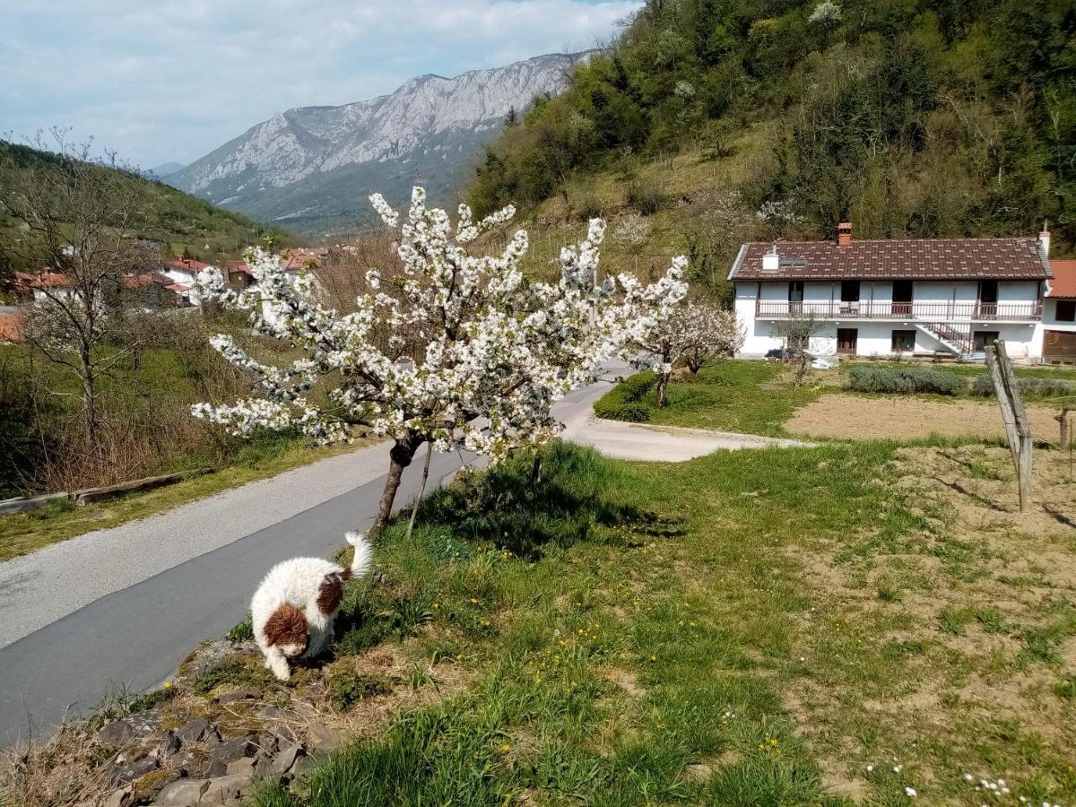 Apartma Moser Podnanos Dış mekan fotoğraf